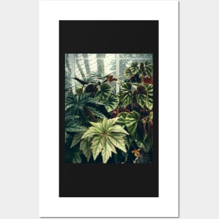 Beautiful Begonias Posters and Art